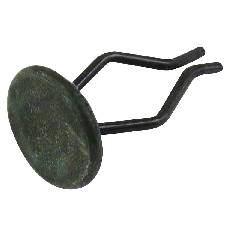 خار سوسکی تکنو